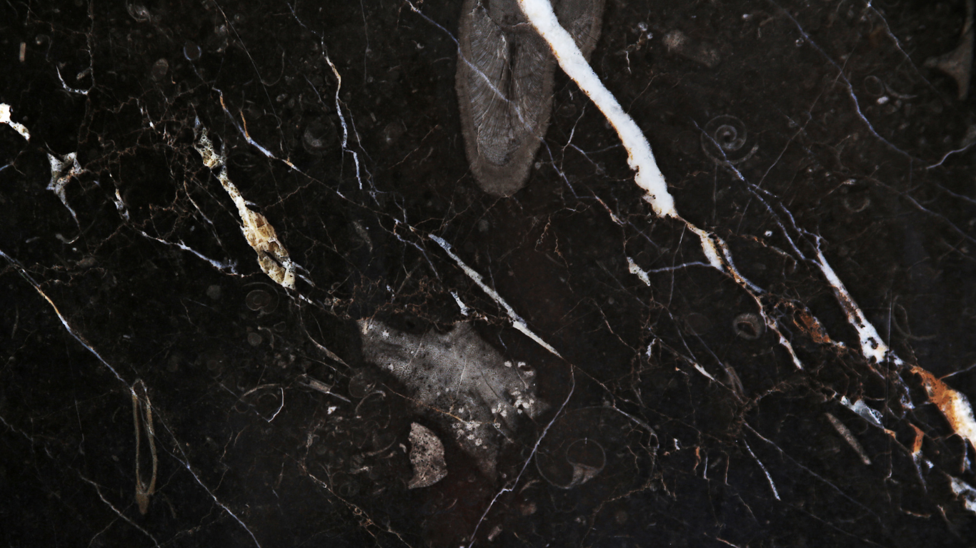 Hava-Trade bemutatkozás